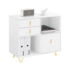 SoBuy ASK11-W Caisson de Bureau