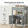 SoBuy FKW22-HG Meuble de Cuisine à roulettes avec Plan de Travail Desserte Cuisine compacte pour Rangement Cuisine, extérieur ou Chambre Chariot de Service Multifonction Gris 60x92x44cm