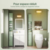 SoBuy BZR34-II-GR Meuble Colonne Salle de Bain, Armoire de Rangement Étroite avec Tiroir et Étagères Réglables - Meuble Salle de Bain Compact pour WC, Petits Espaces - Vert clair, MDF, 20x20x180cm