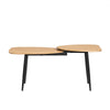 SoBuy FBT127-N Table Basse Table de Salon, Meuble de Salon Design, Structure en métal avec 2 Plateaux