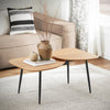 SoBuy FBT127-N Table Basse Table de Salon, Meuble de Salon Design, Structure en métal avec 2 Plateaux