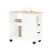 SoBuy FBT130-WN Bout de Canapé, Table d'appoint avec 2 Tiroirs, Compartiment Ouvert, Meuble de Rangement à roulettes, Chariot pour Salon, Bureau, Chambre, Blanc, L60xP30xH60cm