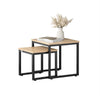 SoBuy FBT42-N Tables Basses Gigognes, Set de 2, Lot de 2 tables d'appoint empilables
