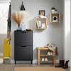 SoBuy FSR151-SCH Meuble d’Entree avec 2 Abattants, Armoire à Chaussures Moderne, Range Chaussures Étroit pour Petite Entrée ou Couloir 50x19x91cm Noir