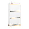 SoBuy FSR192-WN Armoire à Chaussures avec 3 Abattants