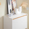 SoBuy FSR192-WN Armoire à Chaussures avec 3 Abattants
