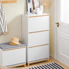 SoBuy FSR192-WN Armoire à Chaussures avec 3 Abattants