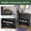 SoBuy FSR99-SCH Meuble à Chaussures Meuble Chaussures Entrée - 2 Abattants Fins Peu Encombrant + Rangement Compact pour 8-10 Paires - pour Couloir Appartement - Noir 76x18x78cm