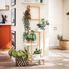 SoBuy STR13-WN Étagère à Fleurs Support de Pots de Fleurs Porte Plante en Bambou à 5 niveaux