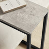 SoBuy FBT44-HG Table d'appoint Moderne - Table Basse Salon, Bout de Canapé à Café 40x30x60 cm Noir & Gris