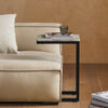 SoBuy FBT44-HG Table d'appoint Moderne - Table Basse Salon, Bout de Canapé à Café 40x30x60 cm Noir & Gris