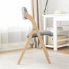 SoBuy FST92-N Chaise Pliante Bois Rembourrée Ergonomique - Chaise de Cuisine et de Bureau Compacte pour Salle à Manger ou Salon, pour Petits Espaces, Gris Clair