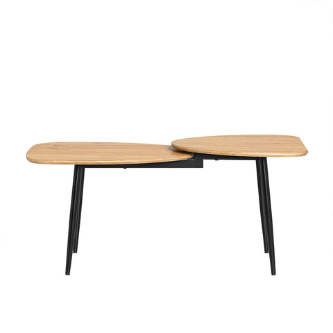 SoBuy FBT127-N Table Basse Table de Salon, Meuble de Salon Design, Structure en métal avec 2 Plateaux