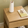 SoBuy FBT49-N Bout de Canapé Table d’appoint Table de chevet avec 2 étagères de rangement